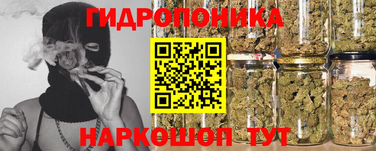 Сосновый Бор  Марихуана план  Шишки марихуана SATIVA & INDICA  Вход с VPN 